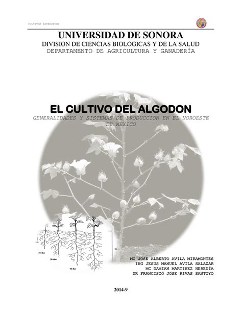 El Cultivo Del Algodon Quimica Udo Studocu