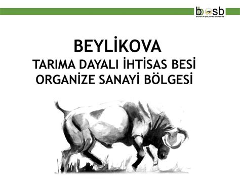 Eskişehir Beylikova Besi Tarıma Dayalı İhtisas Organize Sanayi Bölgesi