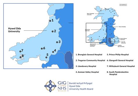 Hywel Dda University Health Board Richmond Nursing Agency Ltd