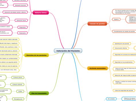 Valoraci N Del Paciente Mind Map