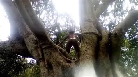 Fridays Are For Dancing Nude On Top Of Trees F Scrolller