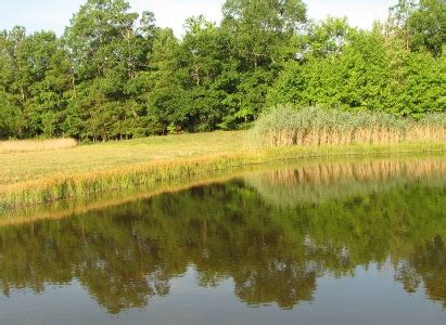 Fish Farming Pond Design