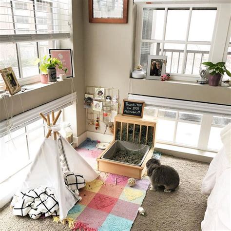 21 Most Adorable Indoor Bunny Cage Ideas Obsigen