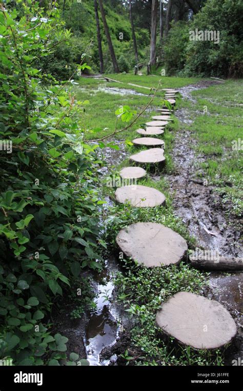 The Dotted Pathway Stock Photo Alamy