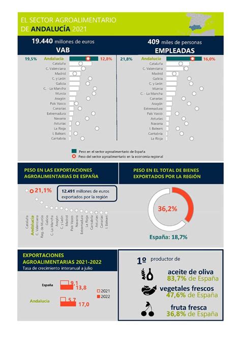 Andaluc A Concentra Casi La Mitad De La Superficie Total De Espa A