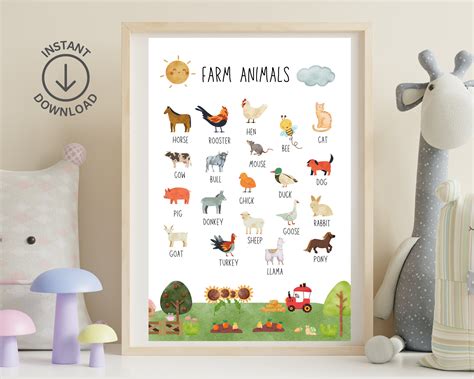 Farm Animal Poster Montessori Poster Montessori Educational Etsy