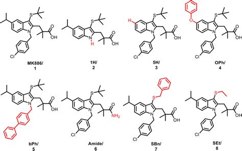 Chemical Structure Of Mk And The Seven Analogs Explored In This