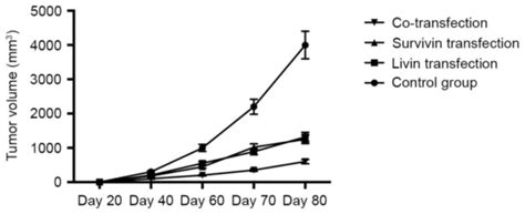 Transfection With Livin And Survivin ShRNA Inhibits The Growth And