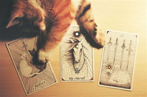 Yulia Volchok Photo Wild Unknown Tarot Tarot Astrology Tarot