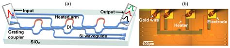 A Schematic Diagram And B Micrograph Of The On Chip Pulse Shaper