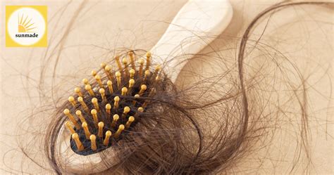 Fo-Ti Root And Your Hair Health - For Women – Sunmade Hair