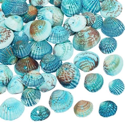 Ph Pandahall Pcs Dyed Shell Beads Aqua Color X X Mm