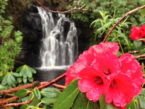 Dunvegan Castle & Gardens, Dunvegan – Castles | VisitScotland