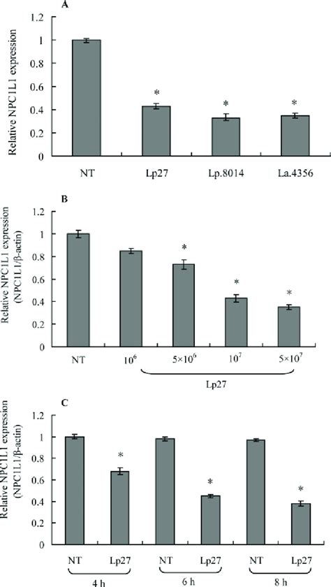 Probiotics Can Downregulate Niemann Pick C1 Like 1 Npc1l1 Expression Download Scientific