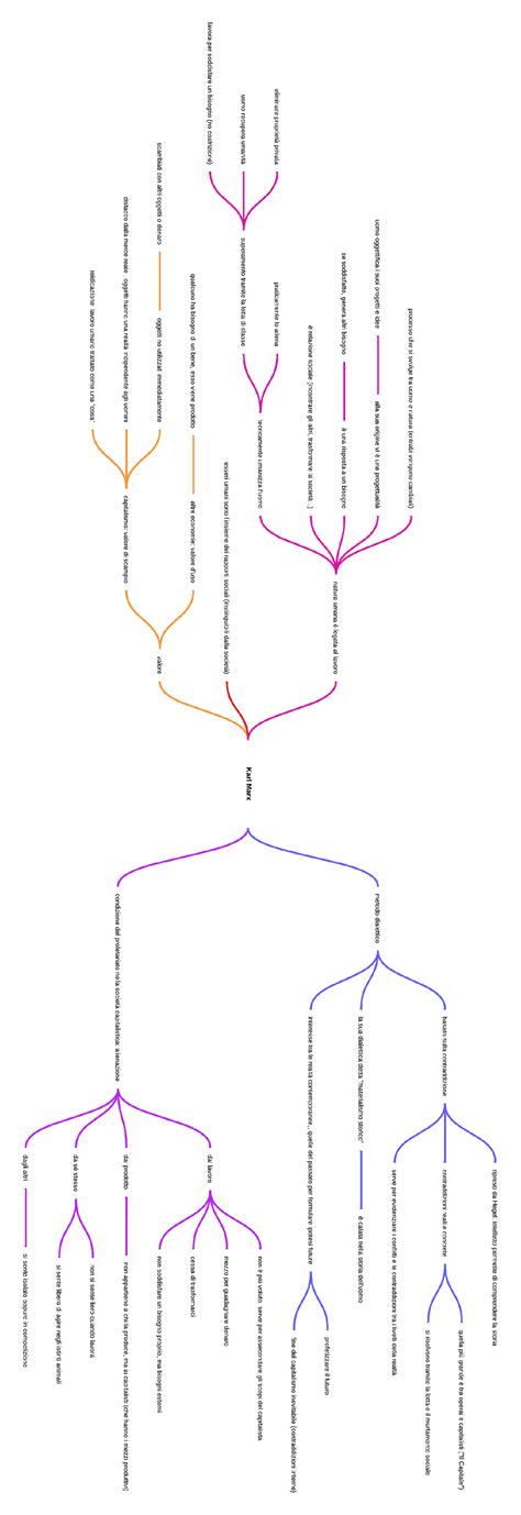 Mappa Concettuale Capitolo 2 Teoria Sociologica George Ritzer