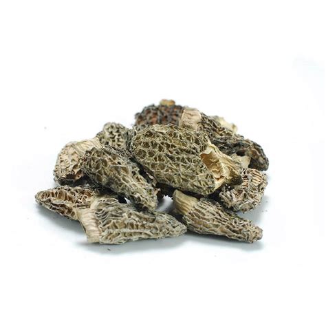 Dried Morel Mushrooms | Where To Buy Morel Mushrooms