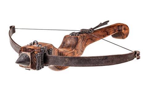 Crossbows – All You Need to Know - Crossbow Magazine