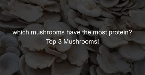 Protein Rich Mushroom Varieties Discover The Top 3 For A Nutrient Boost