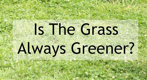 Is The Grass Always Greener? - Houston Mommy and Lifestyle Blogger ...