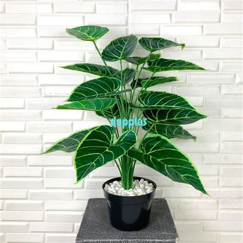 Jual Pohon Daun Alocasia X18 Latex Artificial Pot Dasar Hitam Plastik