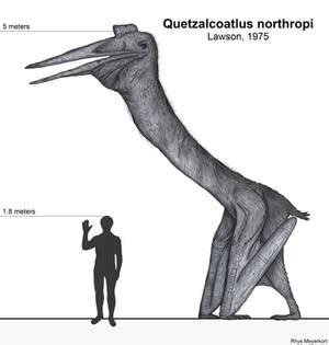 Explore the Best Quetzalcoatlus Art | DeviantArt