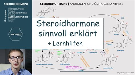 Steroidhormonsynthese Leicht Gemacht Cortisol Aldosteron Testosteron