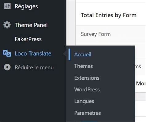 Comment Traduire Un Plugin Ou Th Mes Wordpress Avec Loco Translate