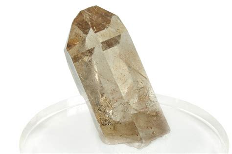 Glassy Smoky Quartz Crystal Brazil For Sale