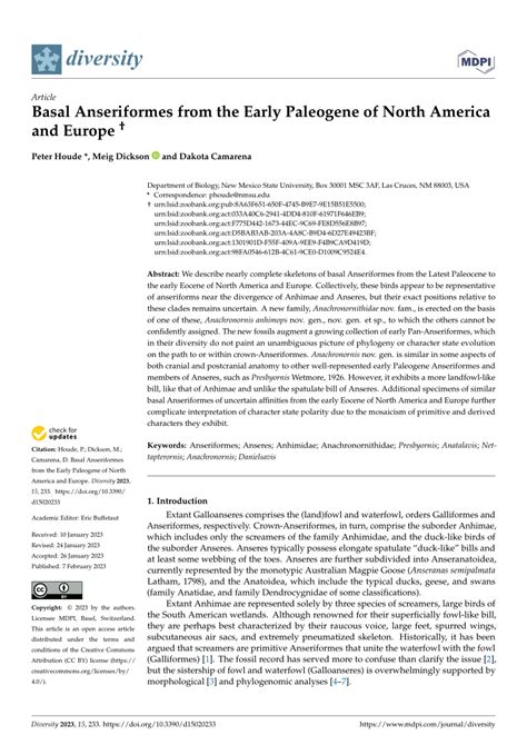 Pdf Basal Anseriformes From The Early Paleogene Of North America And