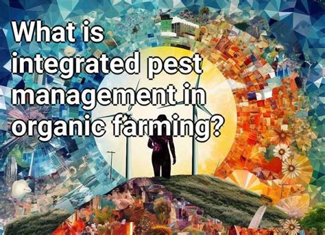 What Is Integrated Pest Management In Organic Farming Ecogovcapital