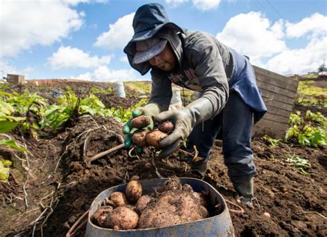 Reforma agraria sobre la repartición de la tierra y la división entre