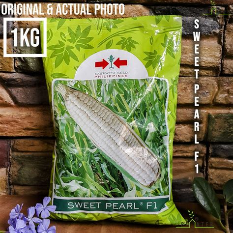 Sweet Pearl F Kg Corn East West Seed Original Shopee