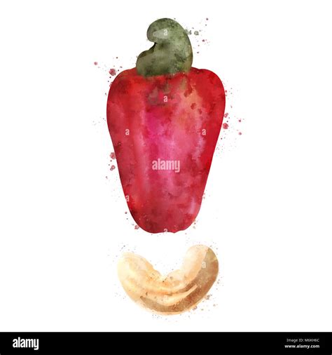 Cashew On White Background Watercolor Illustration Stock Photo Alamy