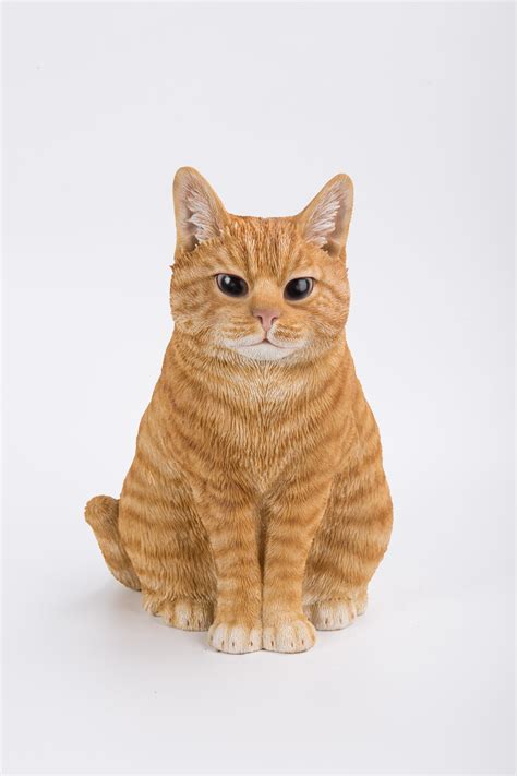 ORANGE TABBY CAT SITTING Walmart Walmart