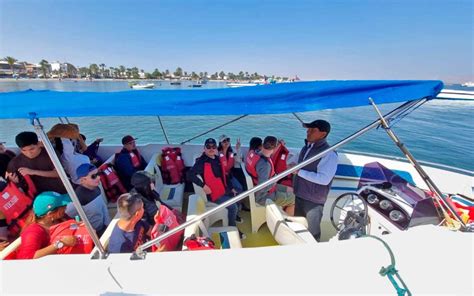 Vanuit Lima Ballestas Eilanden En Huacachina Hele Dag Getyourguide