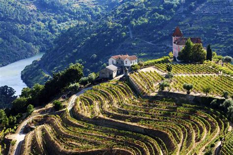 The Top Things To Do In The Douro Valley