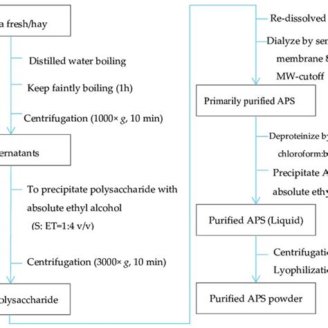 Extraction And Purification Procedure Of Alfalfa Polysaccharide Aps Download Scientific Diagram