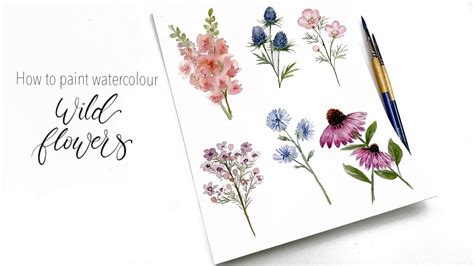 Watercolor Drawing Wild Flowers | Best Flower Site