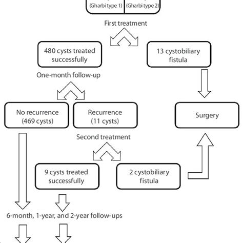 Pdf A Novel Modified Pair Technique Using A Trocar Catheter For Percutaneous Treatment Of