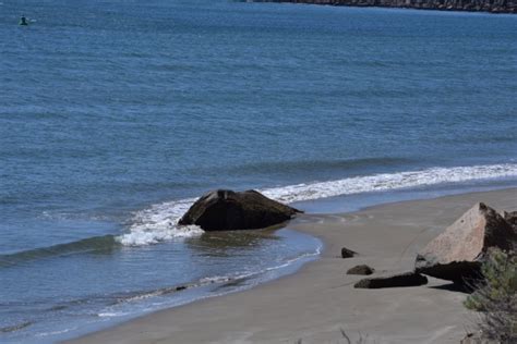 Beach At Morro Bay Free Stock Photo - Public Domain Pictures