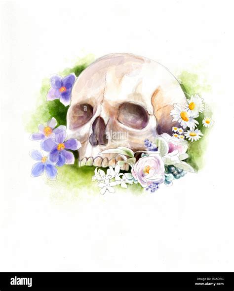 Digital Watercolor Illustration Of A Skull With Flowers Stock Photo Alamy