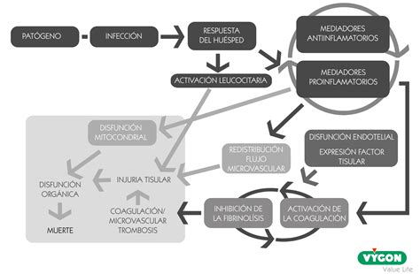 Oxigenación Tisular ¿cómo Medirla Campus Vygon España