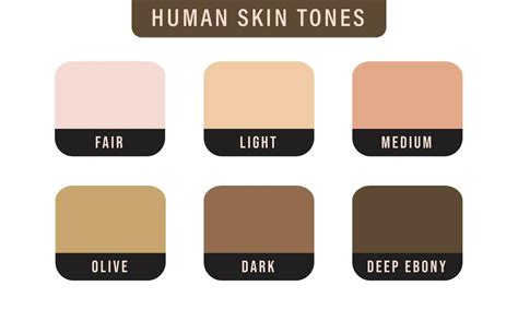 Skin Tone Chart Olive