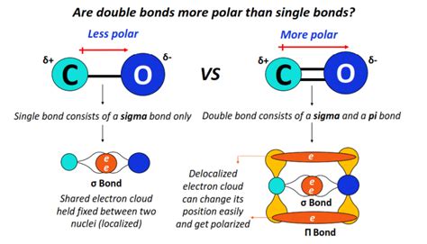 Are Double Bonds More Polar Than Single Bonds Chemistry QnA