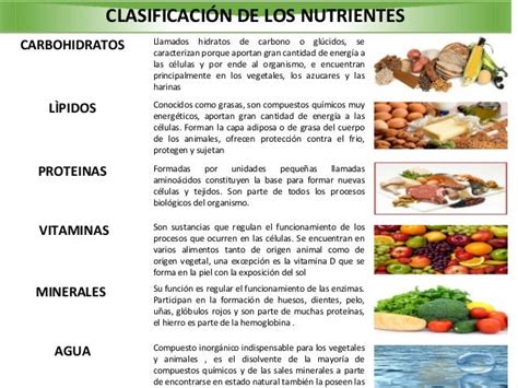 Get Tipos De Nutrientes Background - Diente