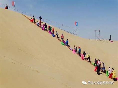 游弋沙海 縱享自由——草甘沙漠 每日頭條