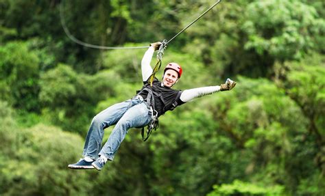 Rainforest Canopy & Zipline Expedition in Ketchikan, Alaska Tour