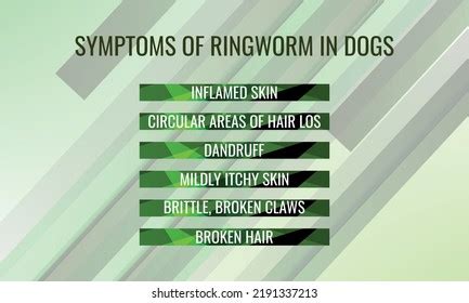 Symptoms Ringworm Dogs Vector Illustration Medical Stock Vector (Royalty Free) 2191337213 ...