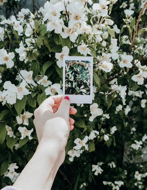 Flowers on Table · Free Stock Photo