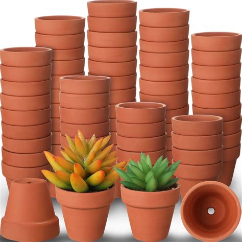 Fcacti Mini Terracotta Pots With Drainage Holes 12 Inches